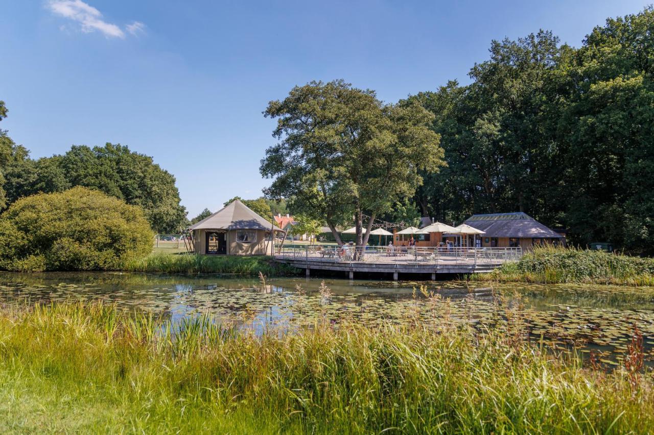 Huttopia De Roos Stegeren Exteriör bild
